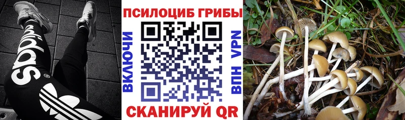 Псилоцибиновые грибы Magic Shrooms Черепаново